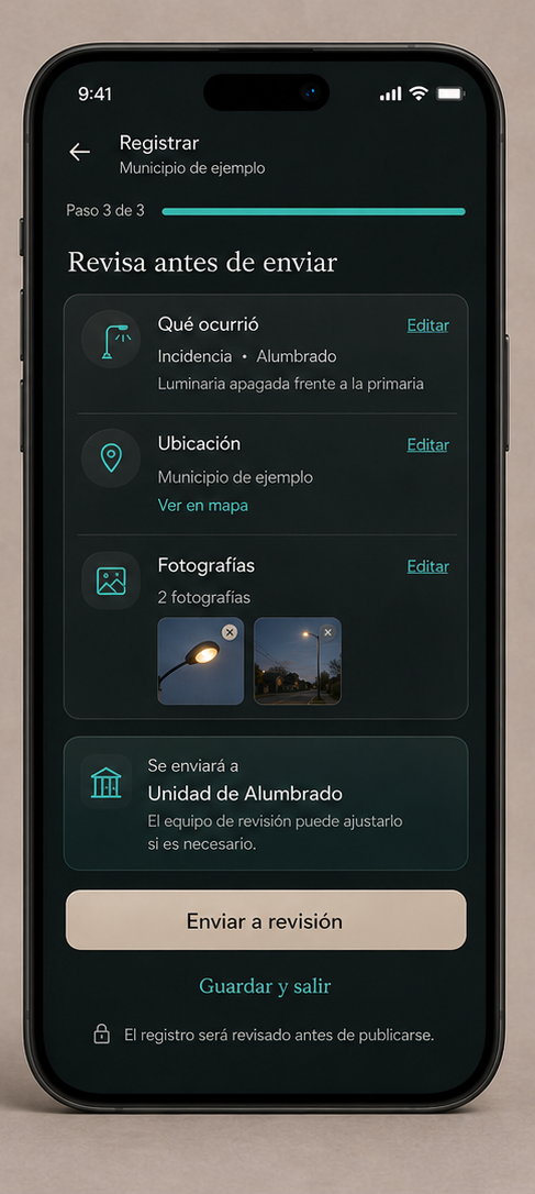 Pantalla para revisar la información antes de enviarla